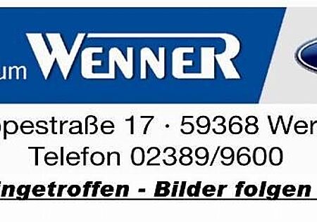 Ford Kuga ST Line X 2,5 FHEV Winterpaket + LED + Kame