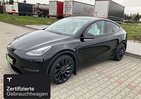 Tesla Model Y Performance