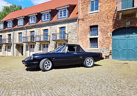 Alfa Romeo Spider Zender