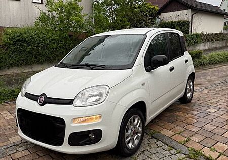 Fiat New Panda 1.2 8V MORE MORE