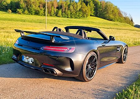 Mercedes-Benz AMG GT GTC GTR Performance Sitze Night Paket Bur