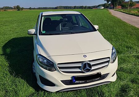 Mercedes-Benz B 200 CDI 4MATIC DCT -