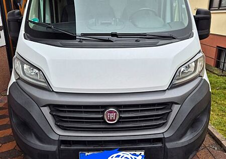 Fiat Ducato /Kühlfahrzeug