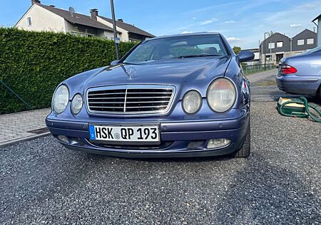 Mercedes-Benz CLK 230 KOMPRESSOR AVANTGARDE Avantgarde