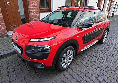 Citroën C4 Cactus Airbumps, Rot & Charme!
