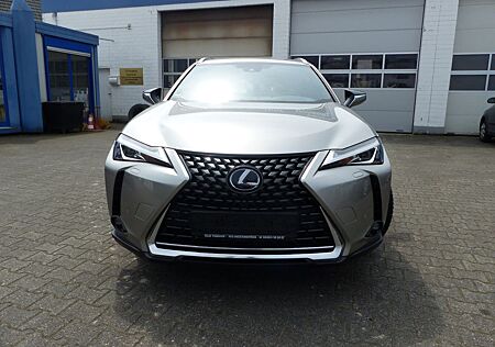 Lexus UX 250h Kamera,ACC,LED Scheinwerfwer,