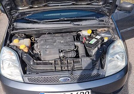 Ford Fiesta 1.3 51 kW -