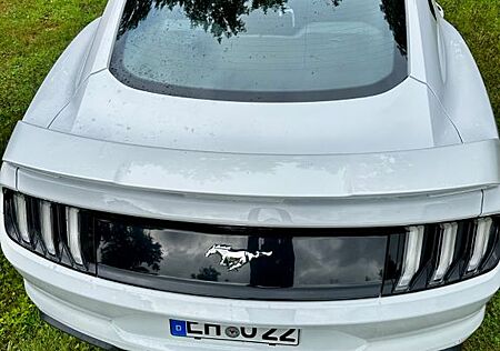 Ford Mustang 5.0 Ti-VCT V8 GT, Deutsches Modell