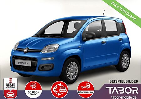 Fiat Panda MHEV 70 5"-DAB Temp PDC DigCo LaneA 5-Sitz
