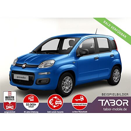 Fiat Panda leasen