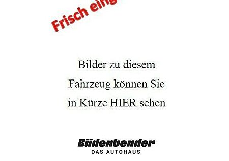 Ford EcoSport Titanium*Fahrassistenz-P*Technik-P*