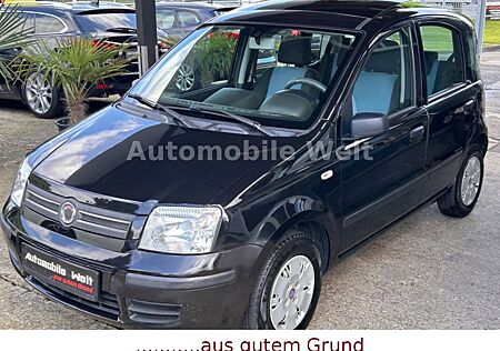 Fiat Panda 1.2 8V Dynamic elek.Panoramaglasdach HU/AU