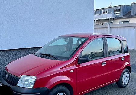 Fiat Panda 1,1 mit Klima und neuem TÜV