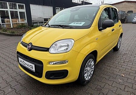 Fiat Panda MY25 1.0 Klima PDC Citypaket
