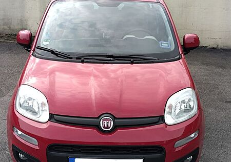 Fiat New Panda 1.2 8V LOUNGE mit Anhängerkupplung