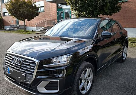 Audi Q2 1.6 TDI sport sport