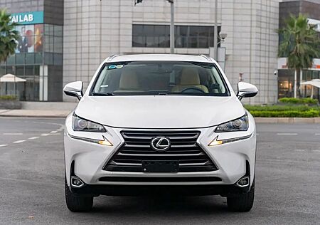 Lexus NX 300 NX 200T