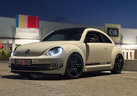 VW New Beetle Volkswagen