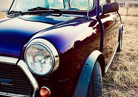 Mini 1000