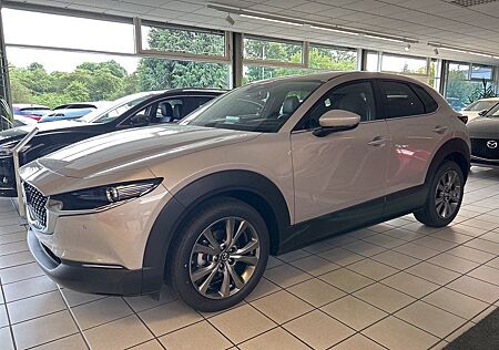 Mazda CX-30 Exclusive-Line e-SKYACTIV-X 186PS Leder-Au