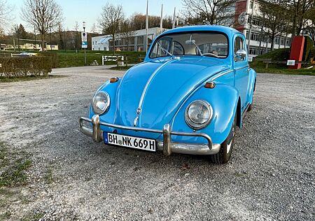 VW Käfer Volkswagen 1969 Hellblauer Klassiker zum Verlieben!
