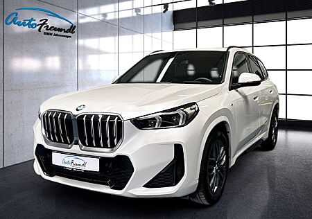 BMW X1 xDrive23d M Sport *Pano*Driv.As.Prof*H&K*