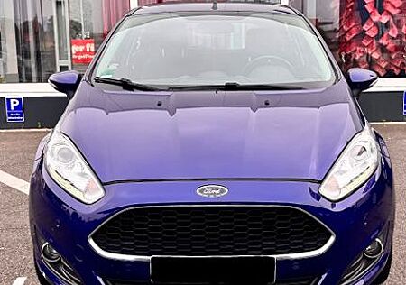 Ford Fiesta 1,25 60kW | Winterpaket