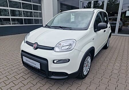 Fiat Panda MY24 Hybrid 1.0 GSE KomfortPaket*Bluetooth