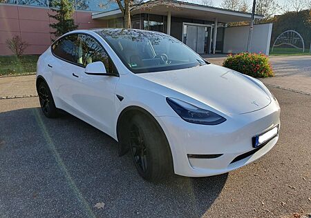 Tesla Model Y Long Range - Dual Motor - MatrixLED Pano