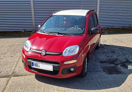 Fiat New Panda Panda 1.2 8V EASY EASY