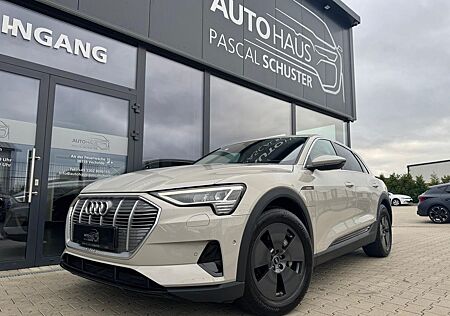 Audi e-tron 50 quattro/LED/AHK/LUFT/LEDER/TEMPOMAT