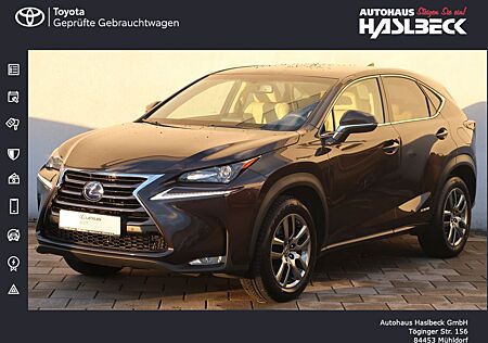 Lexus NX 300 NX 300h Executive-Line