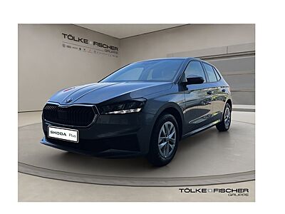 Skoda Fabia 1.0 TSI LED LM PDC SHZ Winterp.