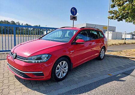 VW Golf Volkswagen 1.5 TGI BlueM. Comfortline Variant