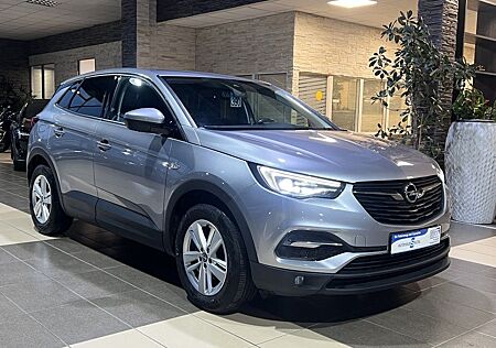 Opel Grandland X Grandland Business Edition Navi Bi-LED AHK R.Cam