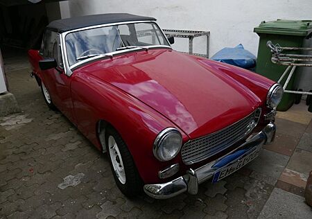 Austin Healey Andere