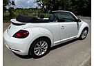 VW Beetle Volkswagen 1.4 TSI nur 10600 km !!