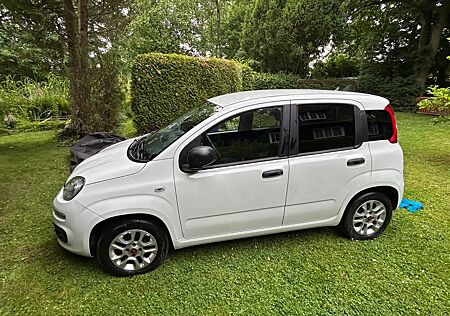 Fiat New Panda 1.2 8V EASY EASY