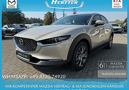 Mazda CX-30 X 186PS EXCLUSIVE-L MATRIX BOSE E-HECKKL S