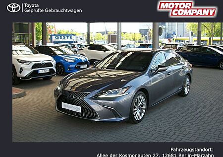Lexus GS 300 ES 300h Luxury Line