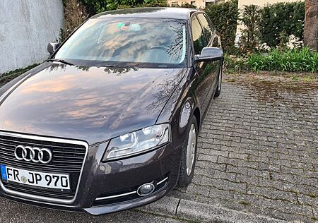 Audi A3 1.6 TDI (DPF) 102g CO2 Attract. Sportb. A...