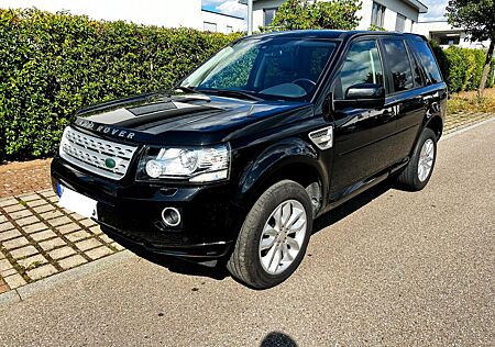Land Rover Freelander 2.2 Xenon Leder AHK PANO Navi Scheckh