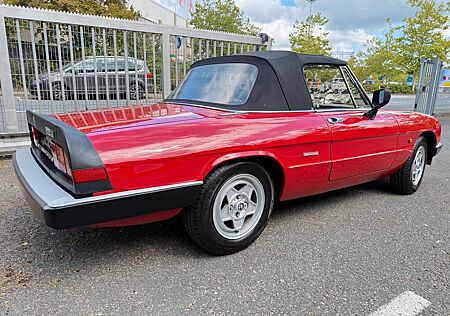Alfa Romeo Spider 1,6 Cabrio 1 Hand Tüv neu