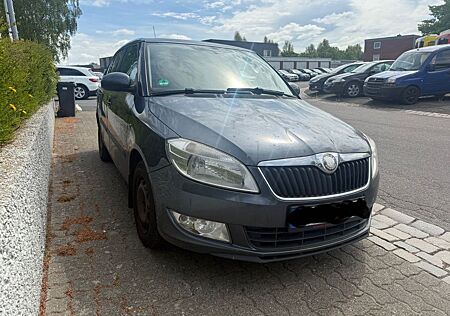 Skoda Fabia Combi Greenline*Klima*AHK*