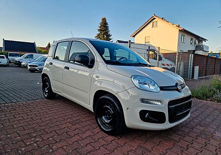 Fiat Panda Easy