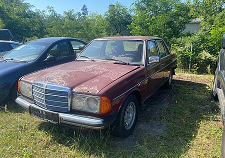 Mercedes-Benz 240 240D W123