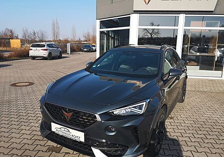 Cupra Formentor 4Drive AHK AAC ACC Kamera