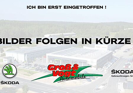 Skoda Fabia Tour 1.5 TSI DSG PDC LED NAV AHZV