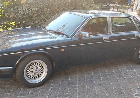 Jaguar Daimler gebraucht kaufen Jaguar Daimler 6.0 Double Six Auto Double Six