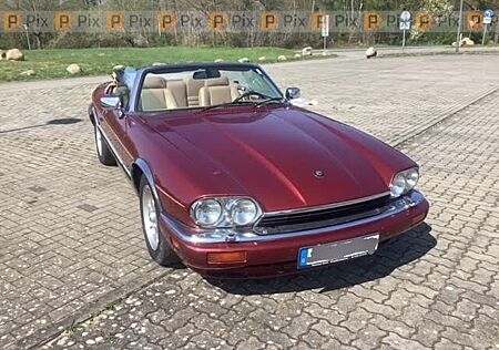 Jaguar XJS